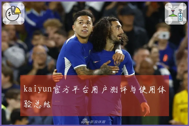 kaiyun官方平台用户测评与使用体验总结