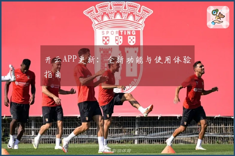 开云APP更新：全新功能与使用体验指南