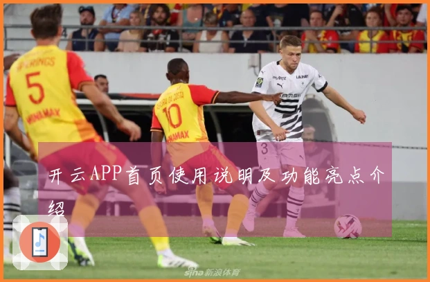 开云APP首页使用说明及功能亮点介绍